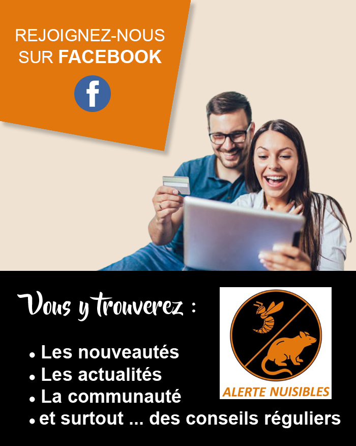 actualite
