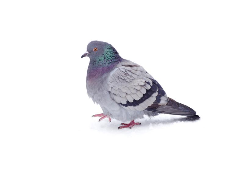 0