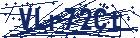 captcha here