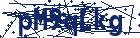captcha here
