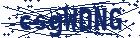 captcha here