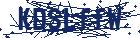 captcha here