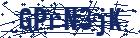 captcha here
