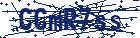 captcha here