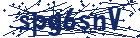 captcha here