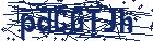 captcha here