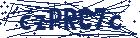 captcha here