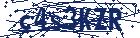 captcha here