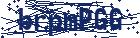 captcha here