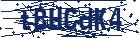 captcha here