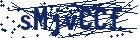 captcha here