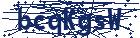 captcha here