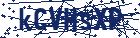captcha here