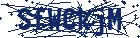 captcha here
