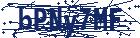 captcha here