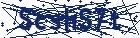 captcha here