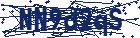 captcha here