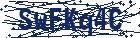 captcha here