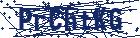 captcha here