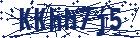 captcha here