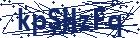 captcha here