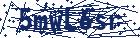 captcha here