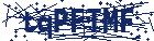 captcha here