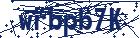 captcha here