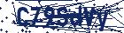 captcha here