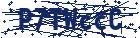 captcha here