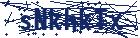 captcha here
