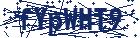 captcha here