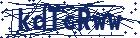 captcha here