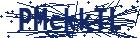 captcha here