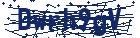 captcha here
