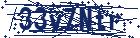 captcha here