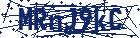 captcha here