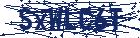 captcha here