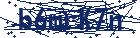 captcha here