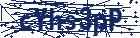 captcha here