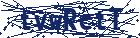 captcha here
