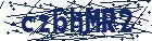 captcha here