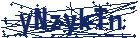 captcha here