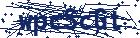 captcha here