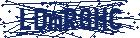 captcha here