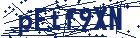 captcha here