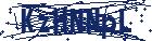 captcha here