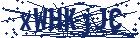 captcha here