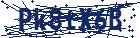 captcha here