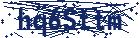 captcha here